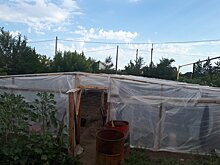 Весёлая делянка: оренбуржец в теплицах выращивал коноплю