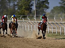 Конноспортивный праздник в Адыгее стал местом притяжения для множества зрителей