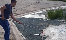 На Курском водохранилище превышений вредных веществ не зафиксировано