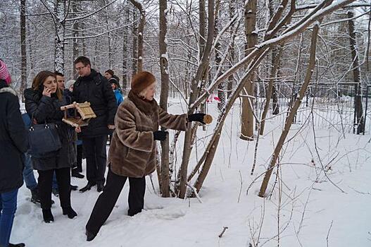 В комплексе «Кузьминки-Люблино» волонтеры помогли зимующим птицам