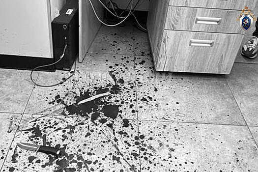 ГСУ СК Москвы: по факту убийства замдиректора филиала банка возбуждено дело