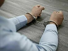 Суд арестовал бизнес-тренера Галантера по делу о мошенничестве