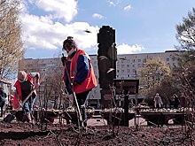 Семьдесят пять кустов сирени в Сквере блокадников: в Санкт-Петербурге начались мероприятия в рамках акции «Сад памяти»