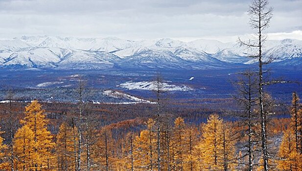 В Якутии подали 2,7 тысяч заявок на "дальневосточный гектар"