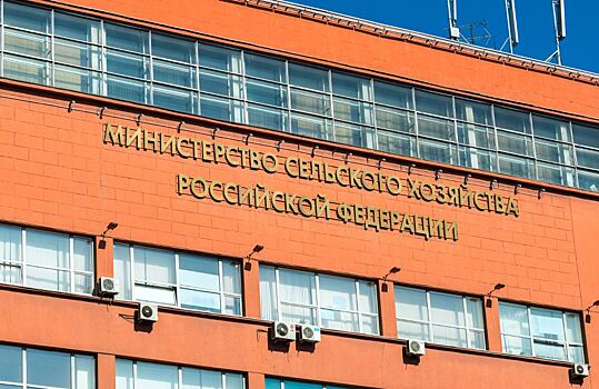 Минсельхоз предложил ограничить наценки магазинов и выделить субсидии хлебопекам