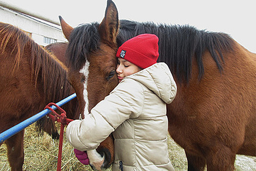 Эти россияне ездят по всей стране и спасают лошадей от смерти