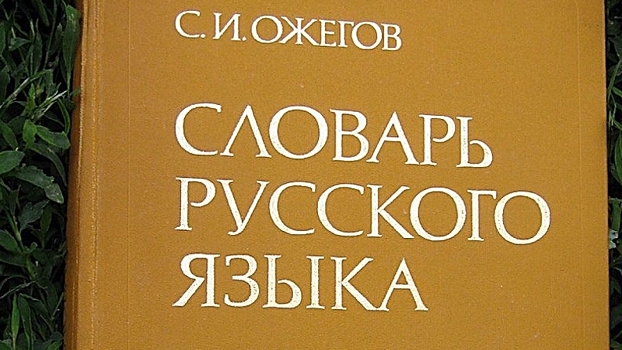 Россотрудничество откроет курсы для преподавателей русского языка в Сирии