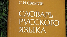 Россотрудничество откроет курсы для преподавателей русского языка в Сирии