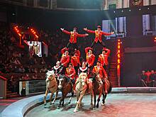 Циркачи рассказали, как выживают в условиях пандемии