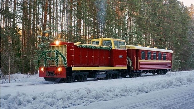 Стоимость проезда по каринской узкоколейке с 1 февраля не изменится