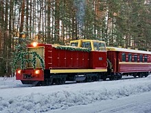 Стоимость проезда по каринской узкоколейке с 1 февраля не изменится