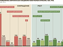 Спрос на специалистов по устойчивому развитию вырос в производстве продуктов и торговле
