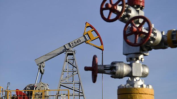 Минэнерго РФ: Запад продолжает покупать российские нефть и газ