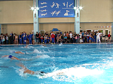 Соревнования по плаванию прошли в Балашихе