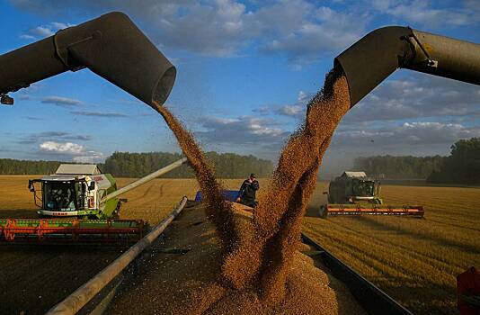 Россия обновила рекорд по поставкам зерна