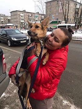 Жительница Перми забрала из нижегородского приюта собаку со странной походкой