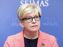 FT: Литва может отказать украинским уклонистам в ПМЖ