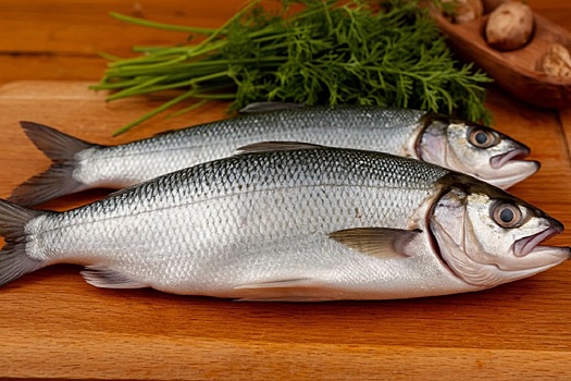 В Якутии впервые начали искусственно воспроизводить уникальную рыбу