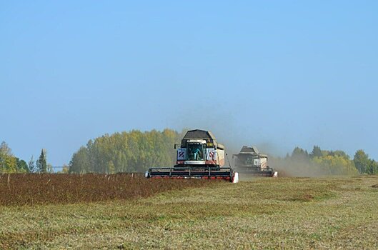 Молодым аграриям Кировской области выделят по миллиону рублей