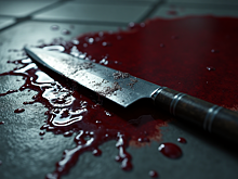 Shot: атаковавший педагогов экс-студент техникума в Архангельске заранее спланировал нападение