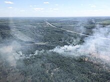 Лесопожарные службы Подмосковья ликвидировали 13 лесных пожаров с 12 по 18 мая