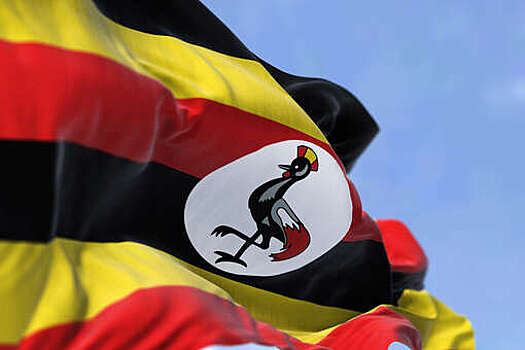 МИД Уганды: Кампала намерена постепенно отменить визы для россиян