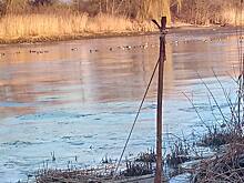 Сотни уток вмерзли в реку Азовку под Ростовом