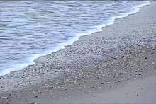 Загадочные черные шары вынесло на пляж в США