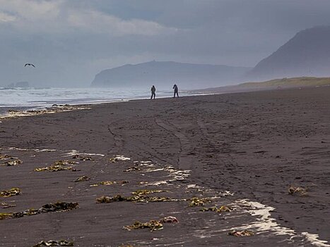 Землетрясение магнитудой 6,4 зафиксировано у побережья Камчатки