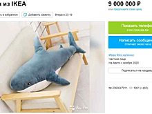 Новосибирец выставил на продажу акулу из IKEA за 9 млн рублей
