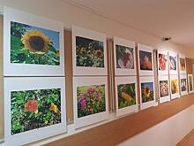 В Центре спортивного и творческого развития «Радуга-Свиблово» открылась фотовыставка 10-летнего Степана Давыденкова