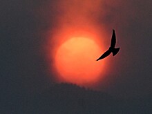 Магнитная буря сегодня: три вспышки и мощнейший удар по здоровью