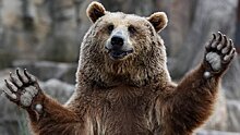 Вадим Перескоков: «Финны и швейцарцы до сих пор думают, что в России по улицам ходят медведи»