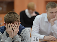 Директор школы уволилась из-за издевательств над учеником