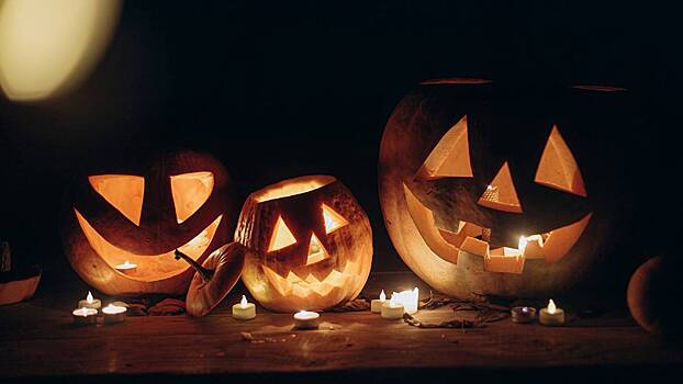 Милонов заявил, что Хэллоуин в России должен регистрироваться законодательно