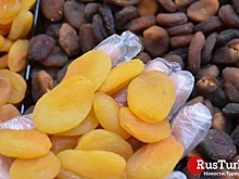 Курага из Турции продана в 105 стран