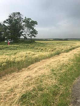 Отвлеклась от дороги: женщина-водитель погибла в ДТП под Ростовом