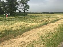 Отвлеклась от дороги: женщина-водитель погибла в ДТП под Ростовом