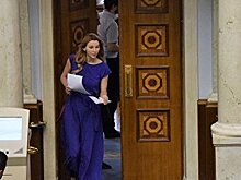 Нардеп: Депутаты Верховной Рады хотят превратить журналистов в пиарщиков
