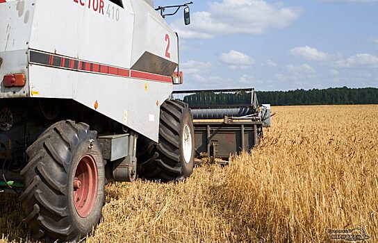 Финансирование курганского АПК урежут на полмиллиарда рублей в 2021 году