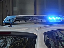 Житель Подмосковья случайно зарубил казачьего атамана