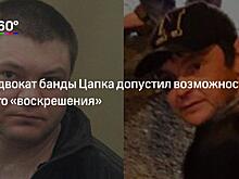 Физиогномист назвал различия между Цапком и его двойником