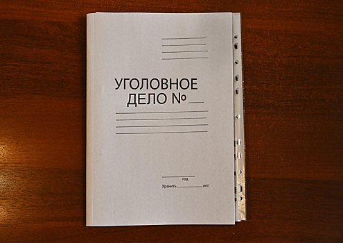 Общественная палата России предложила ввести уголовную ответственность за фальсификацию продуктов