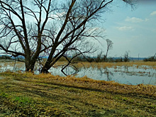 Более 9 тысяч спасателей будут обеспечивать безопасность в Самарской области во время половодья