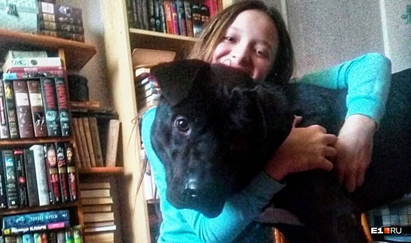 Хозяева замерзающего пса, которого нашла на улице мисс Екатеринбург, нашлись после публикации E1.RU
