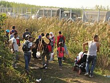 Словения привлечет армию к охране границы