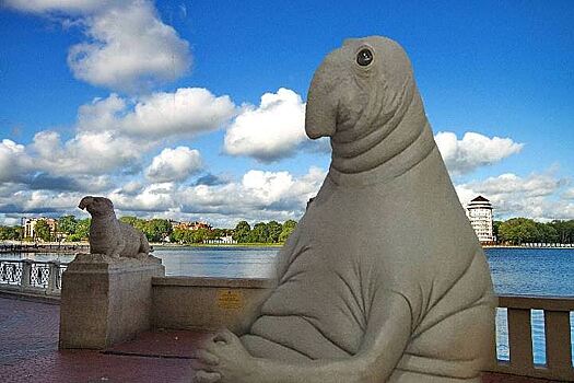 Ждуна признали главным символом России