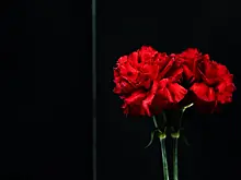 Ушел из жизни в возрасте 78 лет пионер и звезда музыки ска Даги