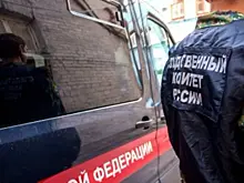 Александр Бастрыкин проконтролирует расследование гибели женщины в Новосемейкино