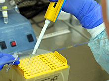 В Волгоградской области выявлены еще 94 заразившихся коронавирусом